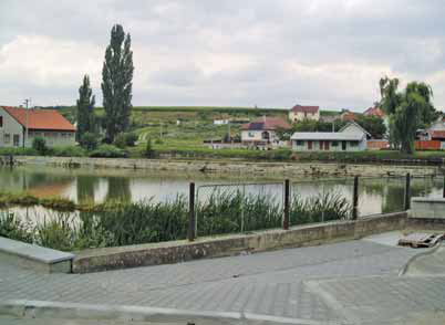 Vesnický rybník