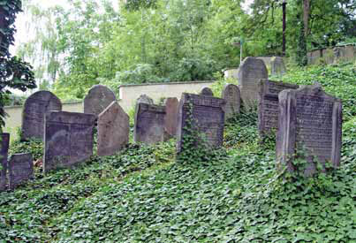 Pohled na jedno z polí hřbitova od západu
