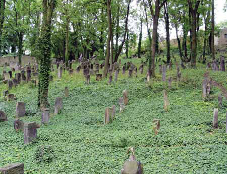 Svažitá pole hřbitova při pohledu od spodní brány
